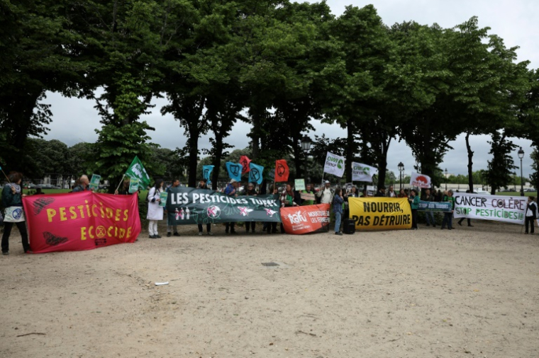 Des opposants à la proposition de loi dite "Duplomb", contraire selon eux aux attentes des agriculteurs et des citoyens, manifestent le 27 mai 2025 à Paris, près de l'Assemblée nationale ( AFP / Leo VIGNAL )