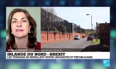 Irlande du Nord - Brexit : la Première ministre Arlene Foster démissionne