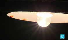 À Verdun, les sillons de la mémoire