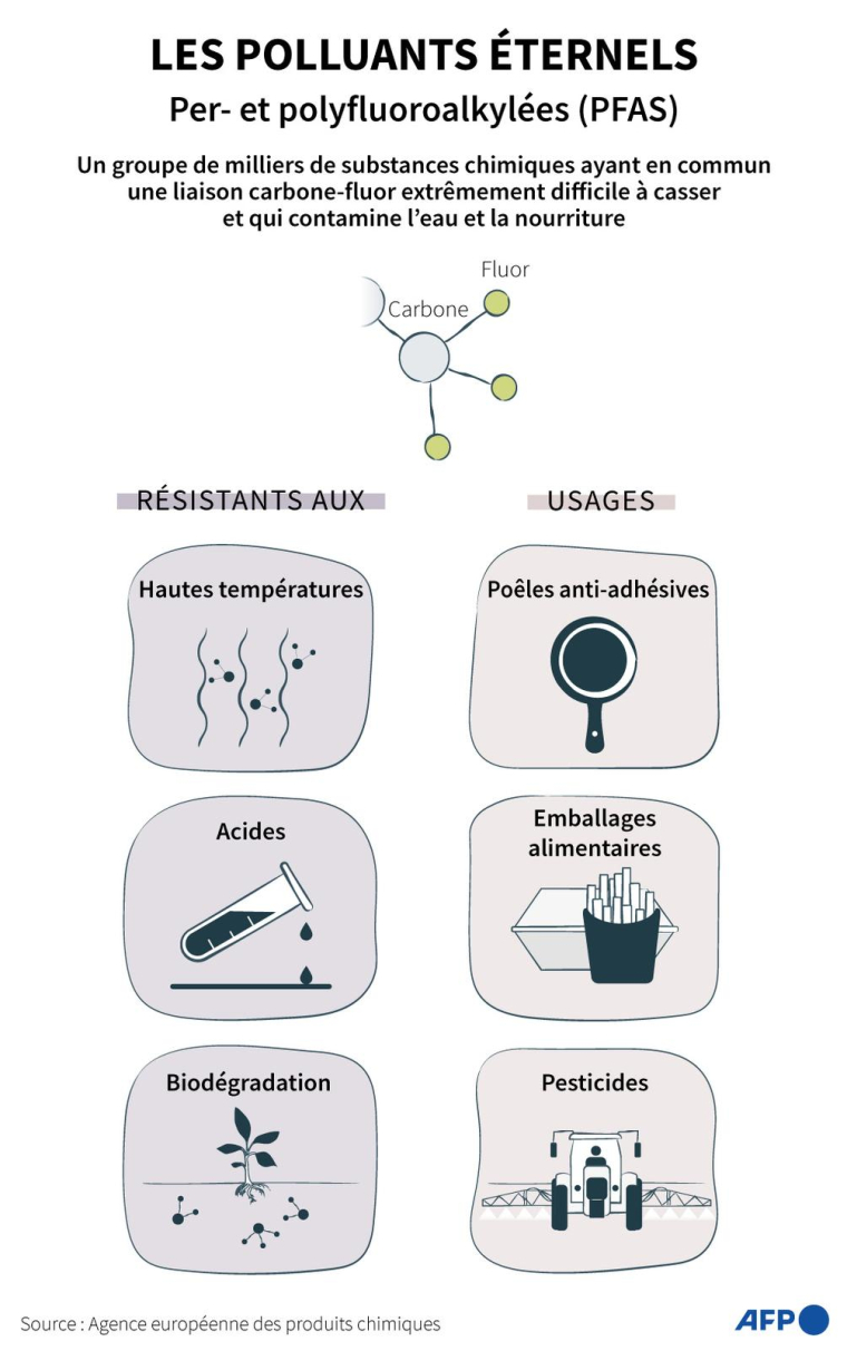 Propriétés et usages d'un groupe de substances chimiques, les per- et polyfluoroalkylées (PFAS) aussi connu sous le nom de "polluants éternels" ( AFP / Jonathan WALTER )