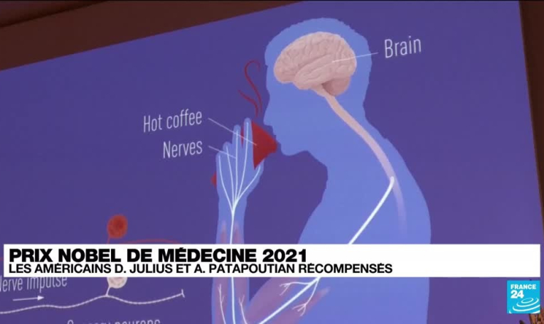Le Nobel de médecine à un duo américain spécialiste du toucher