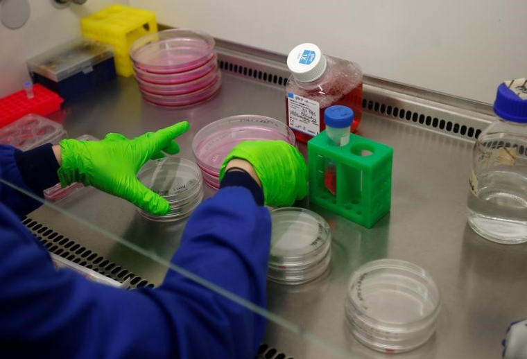 ERYTECH PHARMA: COTATION SUSPENDUE À PARIS AVANT PLACEMENT D'ADS