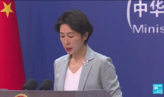 Argentine : Javier Milei, élu président, promet de vaincre l'inflation chronique