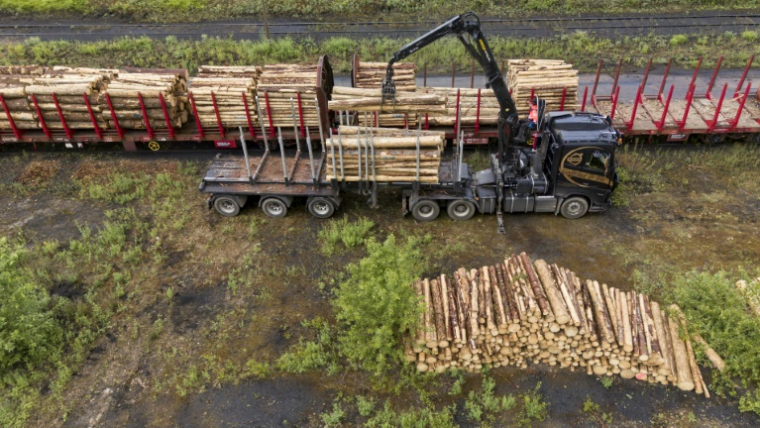 Du bois abattu dans des forêts françaises à destination de la Belgique et du Luxembourg, à Illange (Moselle), le 11 juin 2026 ( AFP / Jean-Christophe VERHAEGEN )