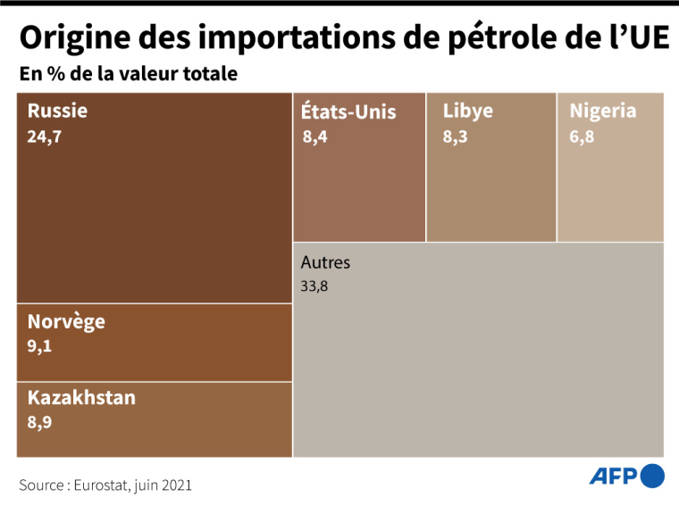 Graphique montrant la proportion et le pays d'origine du pétrole importé par l'Union européenne ( AFP / )