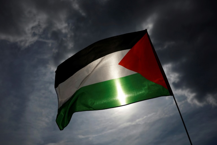 Le drapeau palestinien lors d'une manifestation à Paris, le 8 juin 2025 ( AFP / Sameer Al-Doumy )