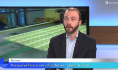 Pourquoi les français sont schizophrènes à propos de l'euro...
