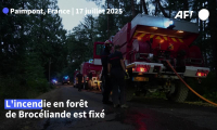 Bretagne: l'incendie dans la forêt de Brocéliande est fixé