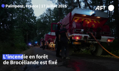 Bretagne: l'incendie dans la forêt de Brocéliande est fixé
