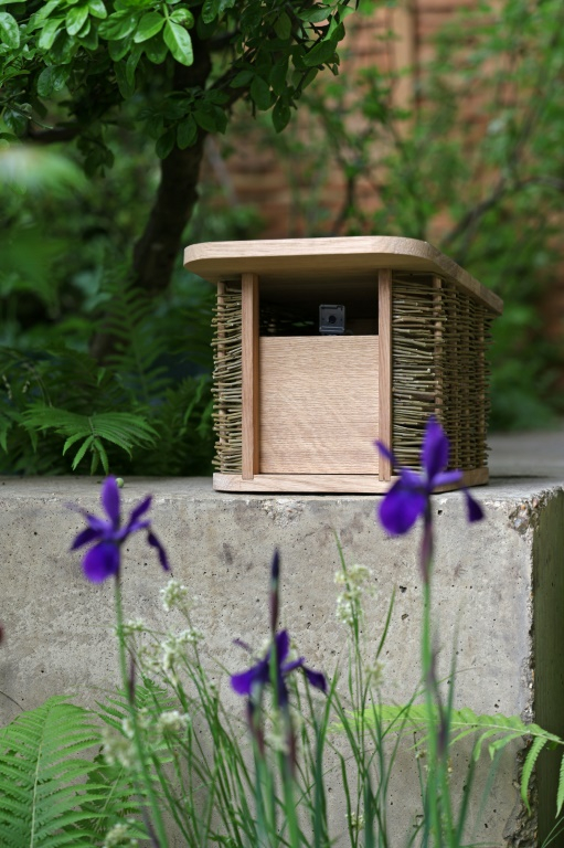 Un capteur est dissimulé dans une boîte en bois dans le jardin intelligent d'Avanade, équipé de capteurs qui surveillent la santé des arbres lors du Chelsea Flower show, à Londres, le 19 mai 2025 ( AFP / Adrian Dennis )