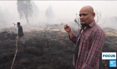 En Indonésie, le biodiesel contribue à la déforestation