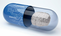Theranexus développe des candidats-médicaments dans la narcolepsie et la maladie de Parkinson. (© Theranexus)