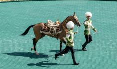 Un cheval akhal-teke lors d'un concours le 25 avril 2026 à Achkhabad, la capitale du Turkménistan ( AFP / STRINGER )