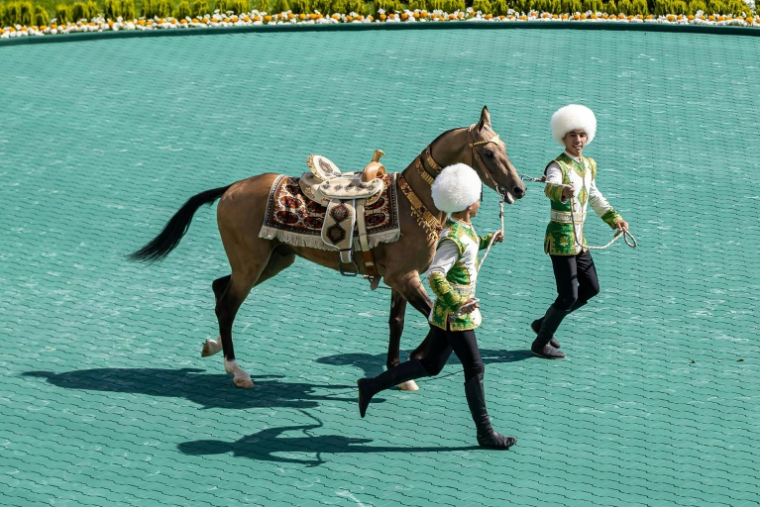 Un cheval akhal-teke lors d'un concours le 25 avril 2026 à Achkhabad, la capitale du Turkménistan ( AFP / STRINGER )