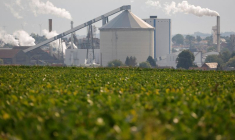 Vue d'une usine sucrière à Escaudœuvres, France