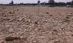 Niveau d'eau bas sur le Rhin à Cologne