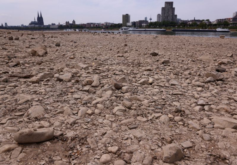 Niveau d'eau bas sur le Rhin à Cologne