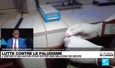 Les dossiers africains du second quinquennat d'Emmanuel Macron