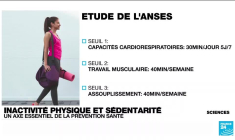 Inactivité physique et sédentarité : un axe essentiel de la prévention santé