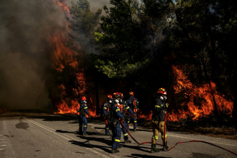 Des pompiers grecs tentent d’éteindre un incendie de forêt dans la région de Porto Germeno, à quelque 70 kilomètres au nord-ouest d’Athènes, dans la région de la Viotia, le 2 août 2026 ( AFP / Angelos TZORTZINIS )