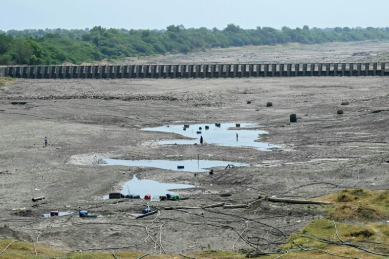 Des habitants traversent le lit du fleuve Godavari asséchée dans le district de Beed, dans l'Etat du Maharashtra, le 4 mai 2025 en Inde ( AFP / Indranil MUKHERJEE )