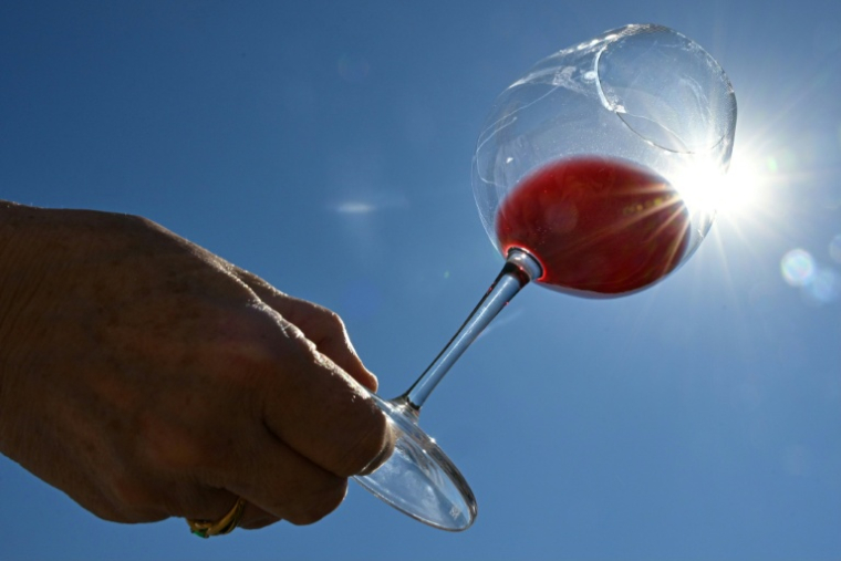 Cette enveloppe permettra de financer le recours à la "distillation de crise", un mécanisme qui permet en cas de surproduction de convertir des stocks excédentaires de vin en alcool réservé à un usage industriel, le tout financé par l'UE ( AFP / SEBASTIEN BOZON )