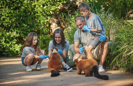 Immergez-vous dans le quotidien des soigneurs du zoo de la Flèche, pour vivre une expérience inoubliable. ( crédit photo : V. Corvasier )