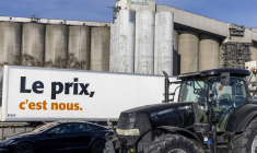 ( Belga / NICOLAS MAETERLINCK )