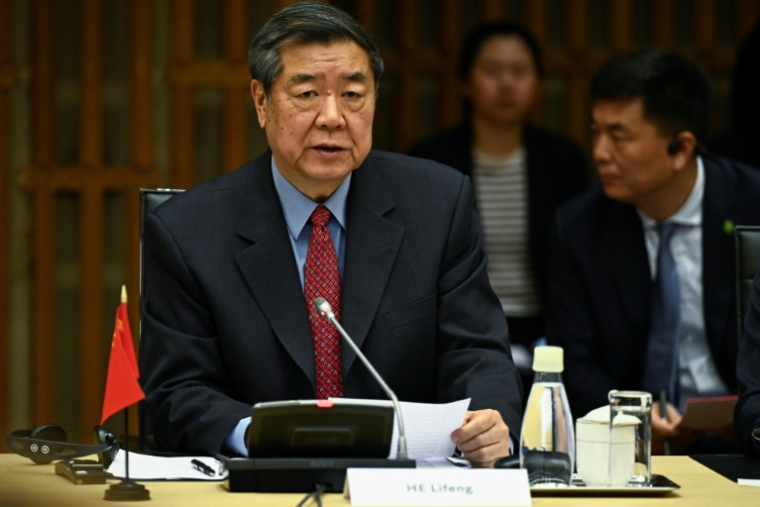 Le vice-Premier ministre chinois He Lifeng le 15 mai à Paris, où il a appelé la France à proposer un climat des affaires "plus équitable, plus juste et plus prévisible". ( AFP / JULIEN DE ROSA )