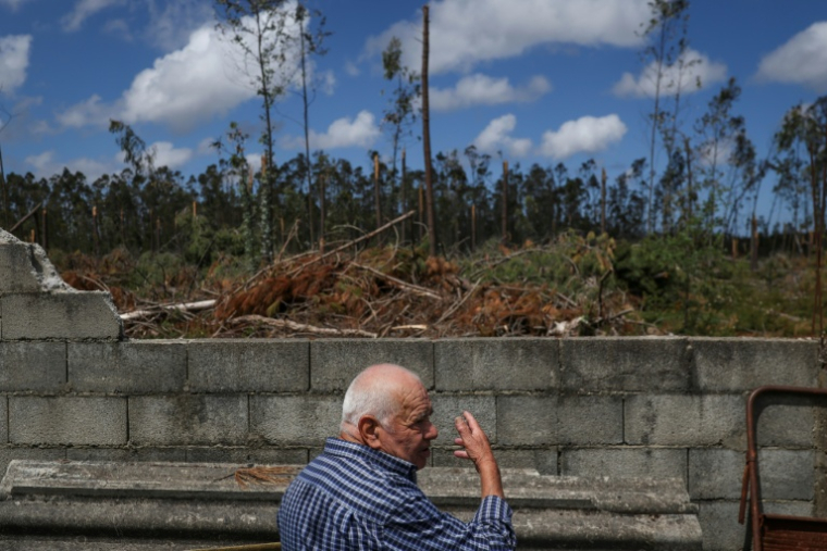 Manuel Calhanas montre l'arrière de sa maison située dans une forêt de pins et d'eucalyptus à Marinha Grande, au Portugal, le 7 mai 2026 ( AFP / PATRICIA DE MELO MOREIRA )
