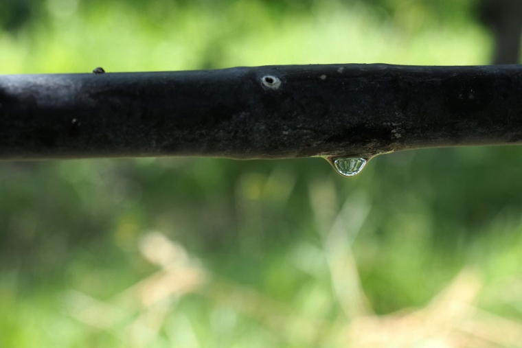 ( AFP / GUILLAUME SOUVANT )
