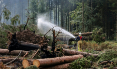 Un pompier asperge le sol d'eau le sol pour l'humidifier lors des opérations visant à contenir un incendie de forêt dans la réserve naturelle des Hautes Fagnes le 20 août 2026 ( BELGA / JULIEN WARNAND )