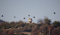 La Corée du Nord tire de l'artillerie en mer alors que la Corée du Sud et les États-Unis s'engagent à coopérer