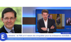Ukraine : Le FMI a-t-il raison de s'inquiéter pour la croissance mondiale ?