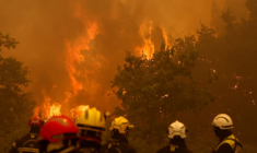 Incendie de forêt à Lege-Cap-Ferret