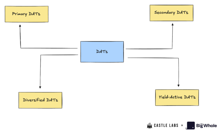 Digital Assets Treasuries (DATs) : un bon pari, vraiment ?