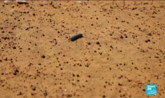 Burkina Faso : une attaque jihadiste fait "plusieurs dizaines de morts" à Kodyel, dans l'est du pays