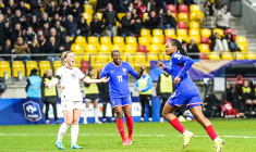 La France laborieuse contre l'Islande