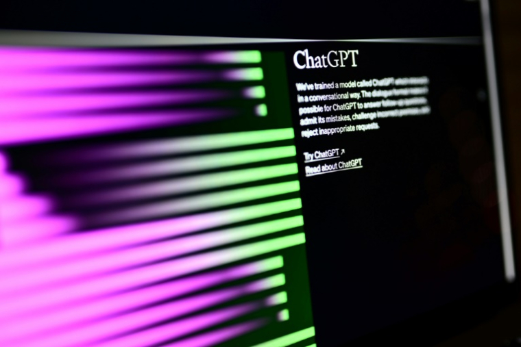 Page d'accueil de ChatGPT, le 31 mars 2023 ( AFP / Marco BERTORELLO )