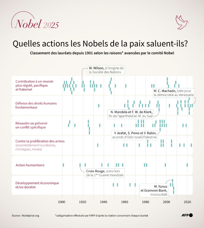 Graphique classant les lauréats des Nobels de la paix depuis 1901 en fonction du motif récompensé, selon des catégories réalisées par l'AFP sur la base du texte officiel accompagnant chaque remise de prix ( AFP / Sylvie HUSSON )