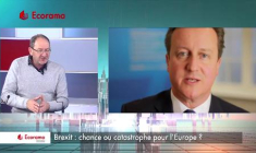 Brexit : chance ou catastrophe pour l'Europe ? (VIDEO)