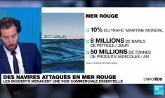 Attaques de navires en Mer Rouge : une menace pour le commerce mondial ?