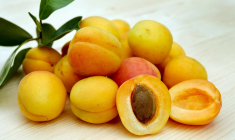 (Crédits photo : Unsplash - Ilona Frey )