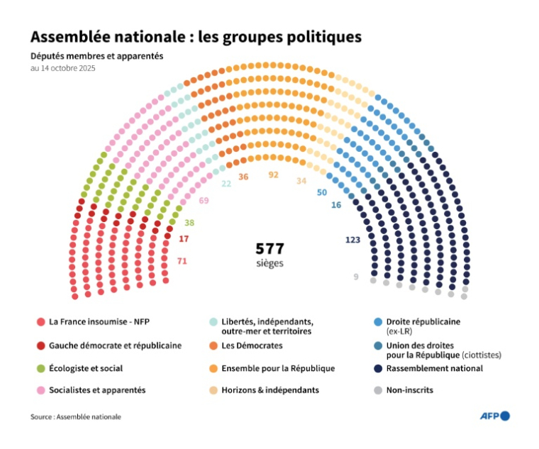Nombre de sièges par groupe à l'Assemblée nationale, au 14 octobre 2025 ( AFP / Nalini LEPETIT-CHELLA )