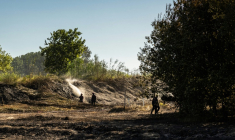 Les pompiers surveillent et arrosent une zone de garrigue brûlée à la périphérie Canet-en-Roussillon (Pyrénées-Orientales), le 3 juillet 2026 ( AFP / Jc Milhet )