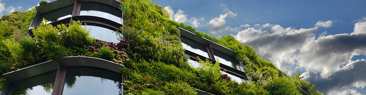 Le 50 Montaigne à Paris signe l’alliance entre immobilier de luxe et agriculture urbaine
