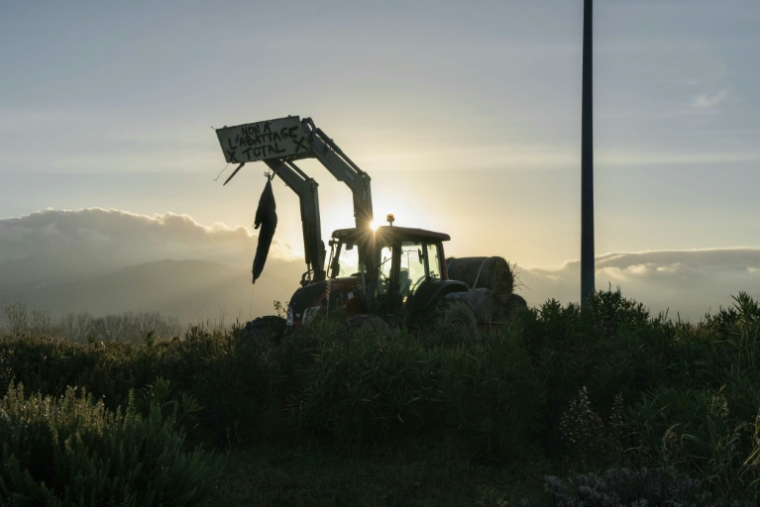 Un tracteur avec un mannequin représentant un agriculteur pendu sur un rond-point au Boulou (Pyrénées-Orientales) le 18 décembre 2025 ( AFP / Idriss BIGOU-GILLES )