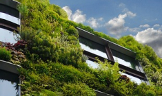 La SCPI Efimmo 1 de Sofidy s’empare du « Green Factory » à Lyon