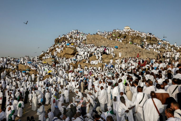 Des pèlerins musulmans prient sur le mont Arafat, étape phare du grand pèlerinage à La Mecque, le 26 mai 2026 en Arabie saoudite ( AFP / Zain JAAFAR )