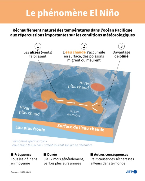 Graphique expliquant le phénomène El Niño dans l'océan Pacifique ( AFP / Gal ROMA )